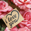 Schriftzug I love you zum selber plotten Plotterdatei Valentinstag