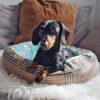 DIY Hundekissen / Hundebett