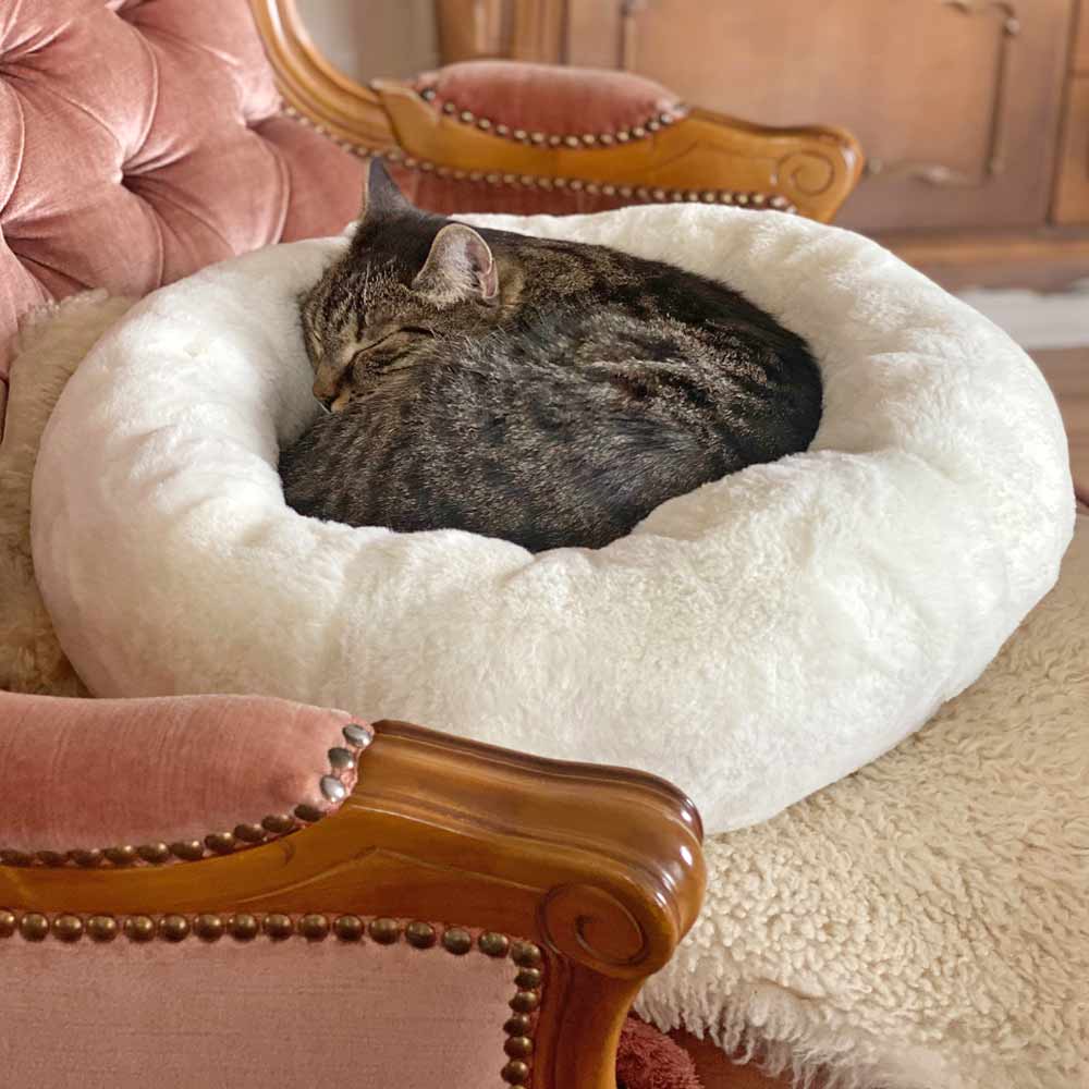 Schnittmuster für ein Katzenbett