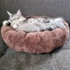 Entspannte Katze im DIY Katzenbett nach dem Schnittmuster von Maker Mauz