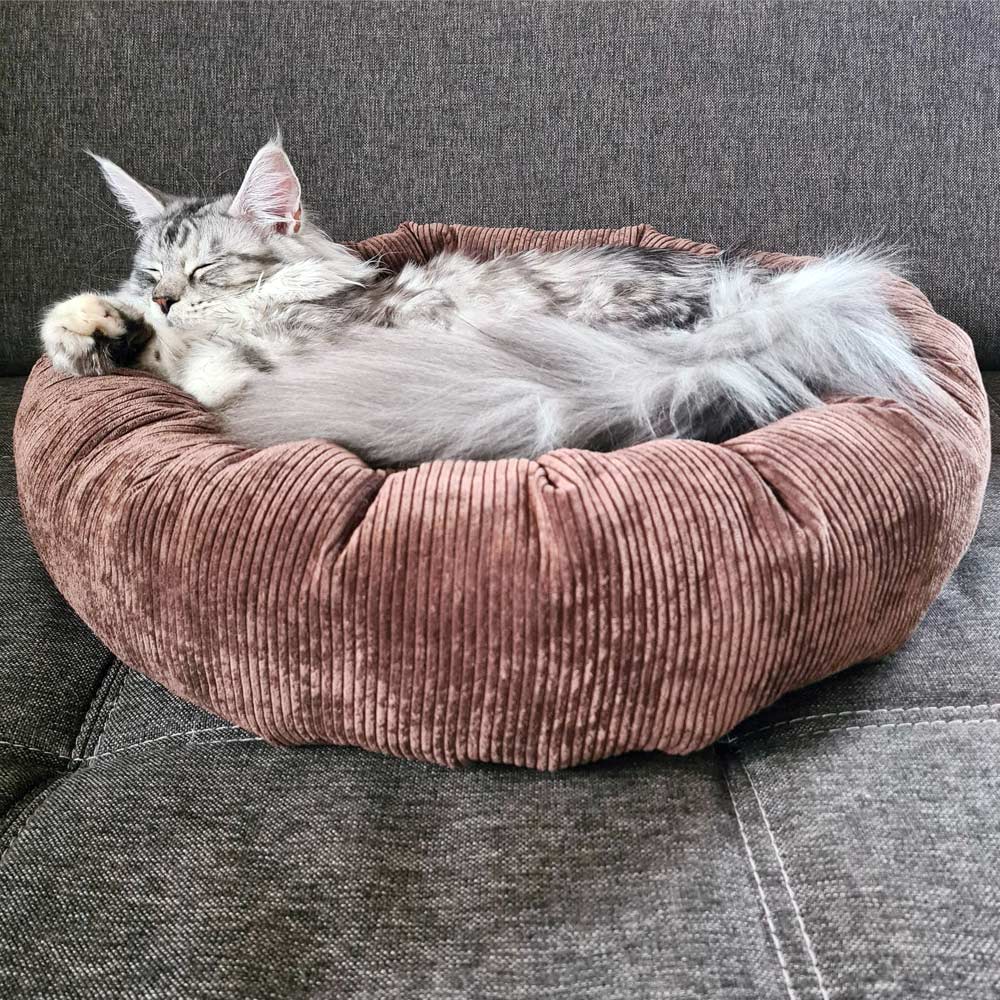 Entspannte Katze im DIY Katzenbett nach dem Schnittmuster von Maker Mauz