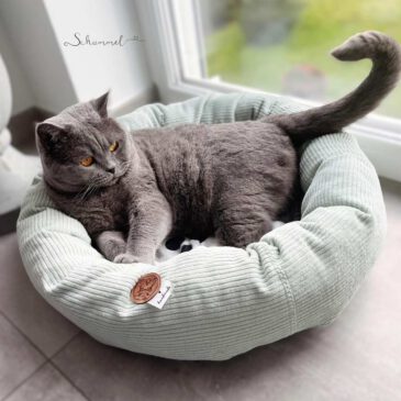 Katzenbett selber nähen