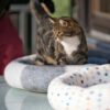 DIY Katzenbett / Katzenkissen / Hundebett / Hundekissen