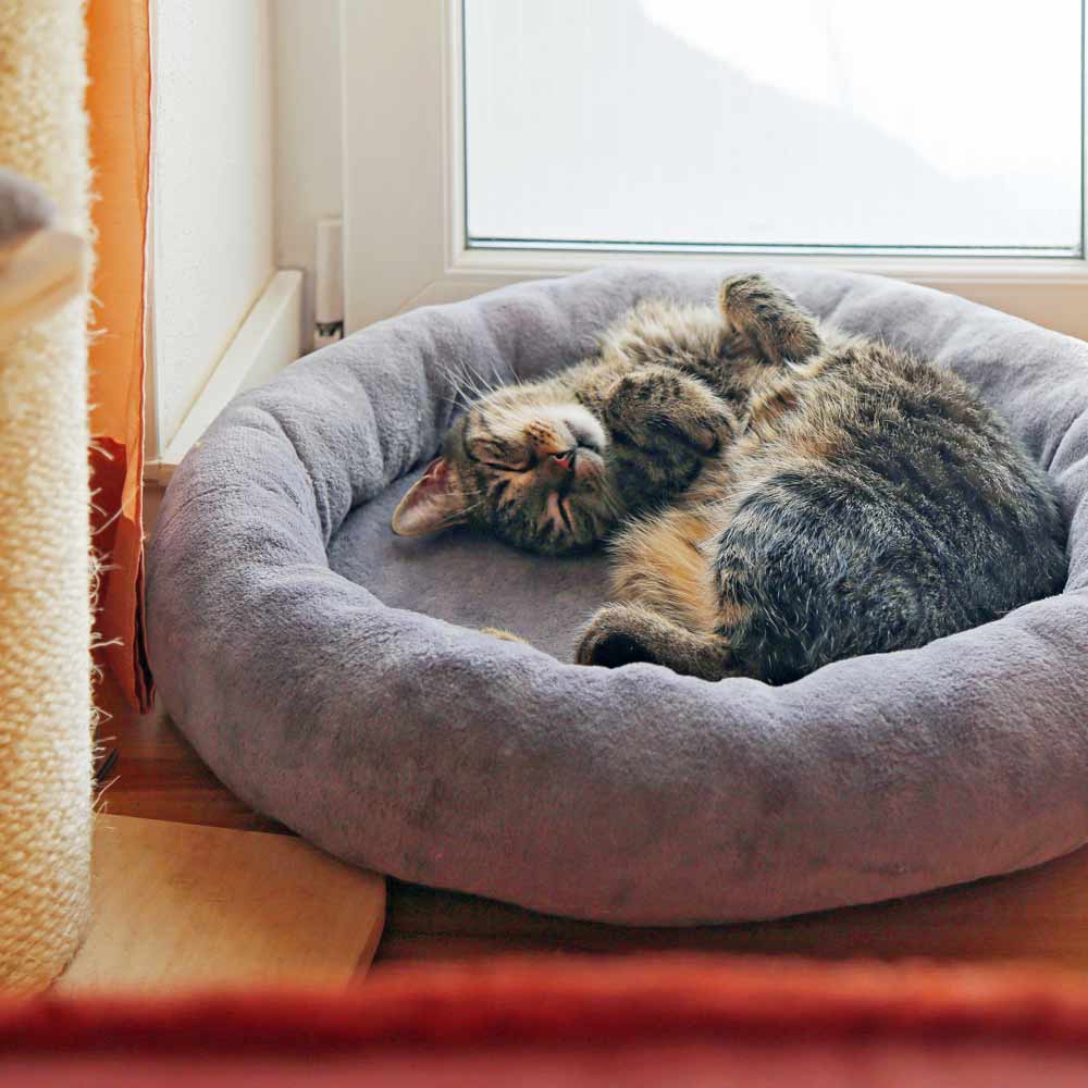 Katzenbett aus alter Decke