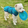 Süße Hundejacke selber nähen