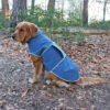Softshell Hundejacke DIY