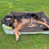 Hunde Sofa Bett selber nähen Hundebett Alma Schnittmuster