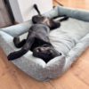 Labrador im Hundebett zum selber nähen Hundebett Alma Schnittmuster