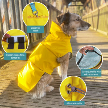 Dog jacket sewing pattern