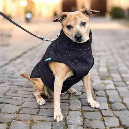 Schnittmuster Hundejacke Alma